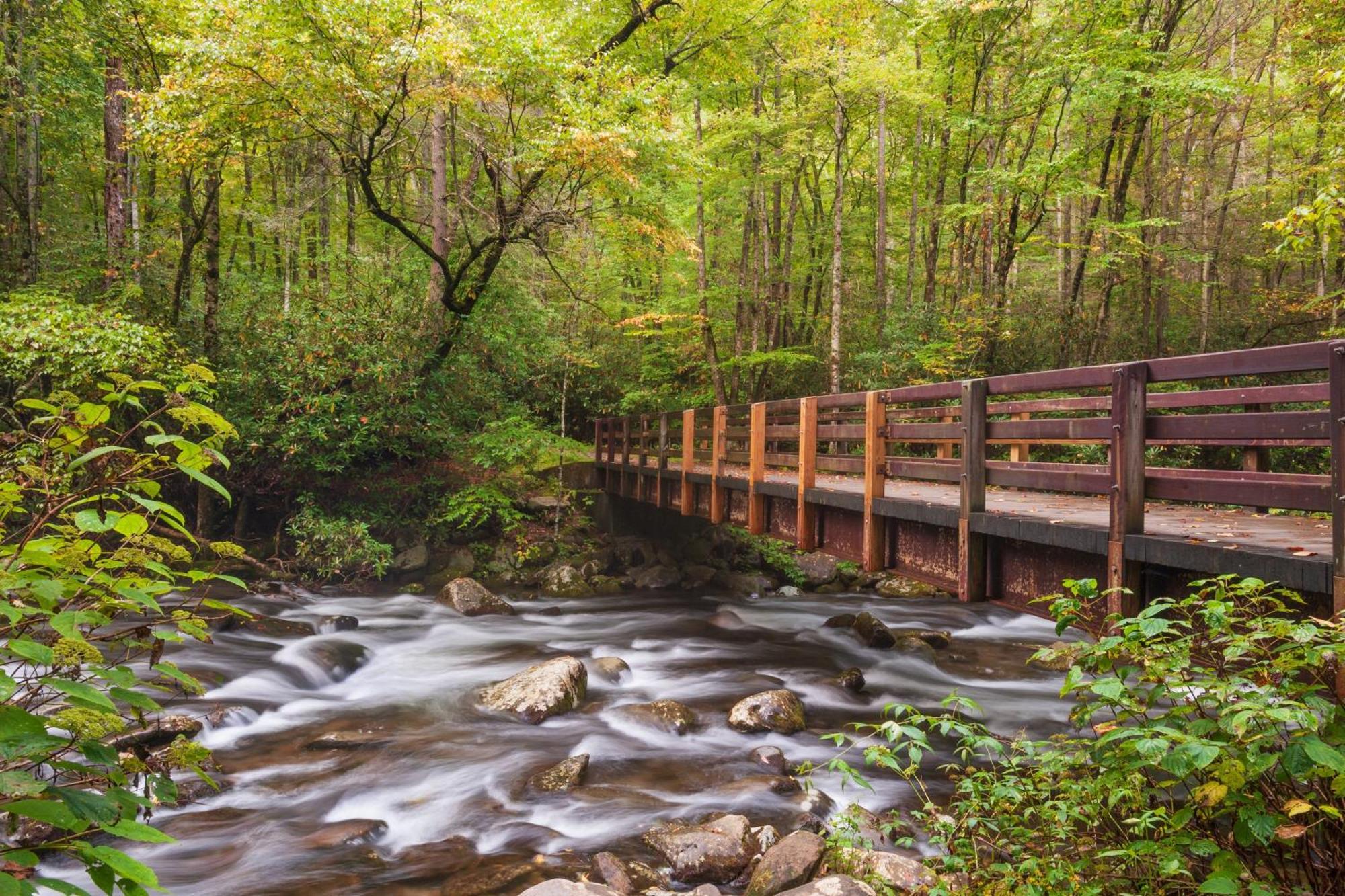 Majestic View Lodge, Amazing Views, Hot Tub, 1089 Free Tickets Each Paid Day, Dollywood And More Gatlinburg Exteriör bild